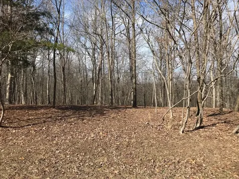 504 Wilderness Way Dunlap TN 37327