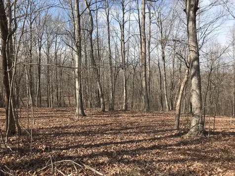 504 Wilderness Way Dunlap TN 37327