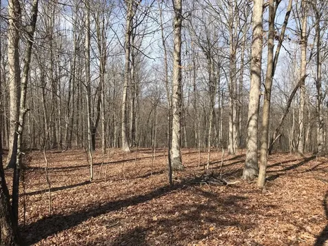 504 Wilderness Way Dunlap TN 37327