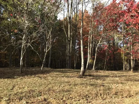 504 Wilderness Way Dunlap TN 37327