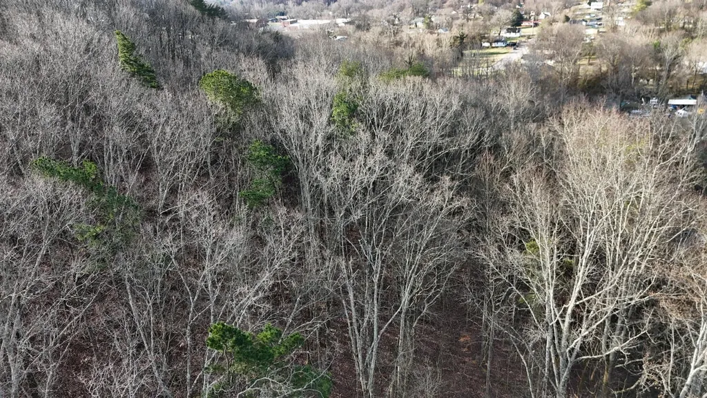 822 W Bates Street Rockwood TN 37854
