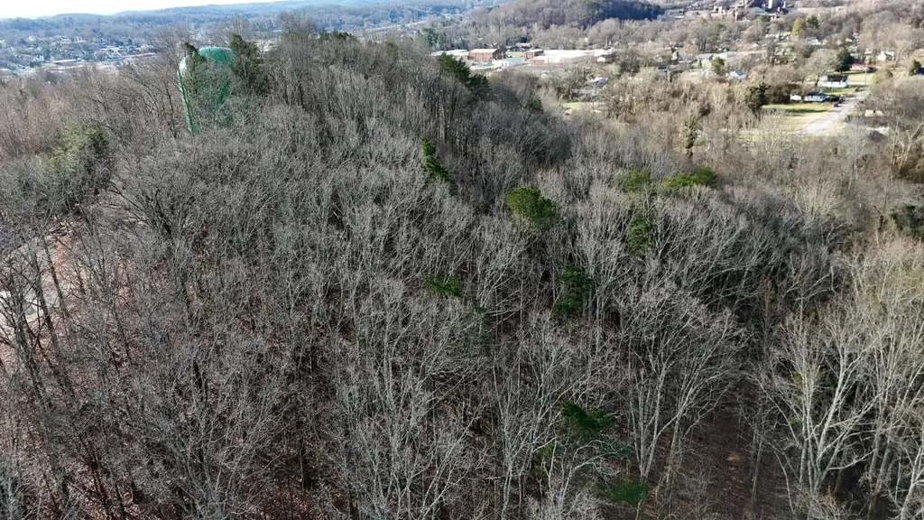 822 W Bates Street Rockwood TN 37854