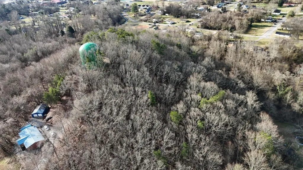 822 W Bates Street Rockwood TN 37854