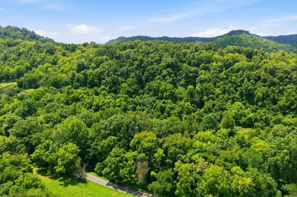 5023 Burt Burgen Road Bradyville TN 37026