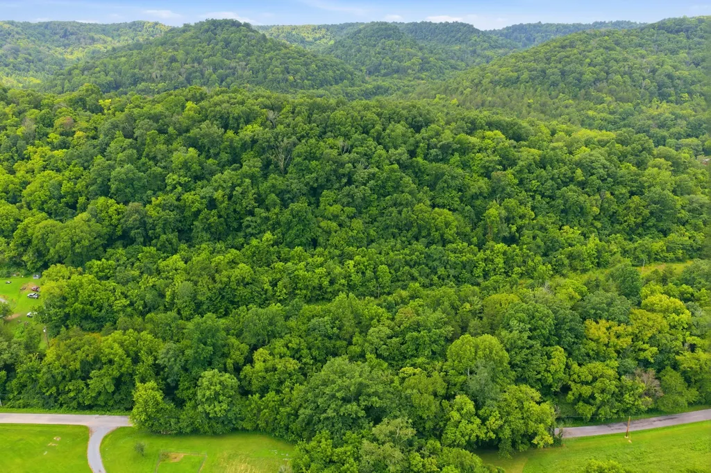 5023 Burt Burgen Road Bradyville TN 37026