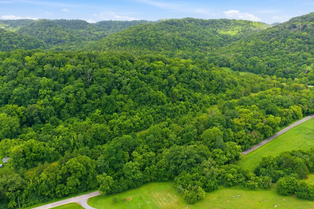 5023 Burt Burgen Road Bradyville TN 37026
