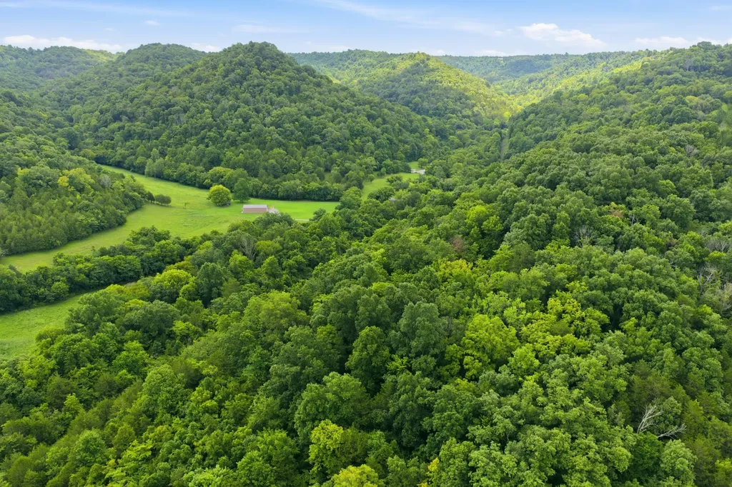 5023 Burt Burgen Road Bradyville TN 37026