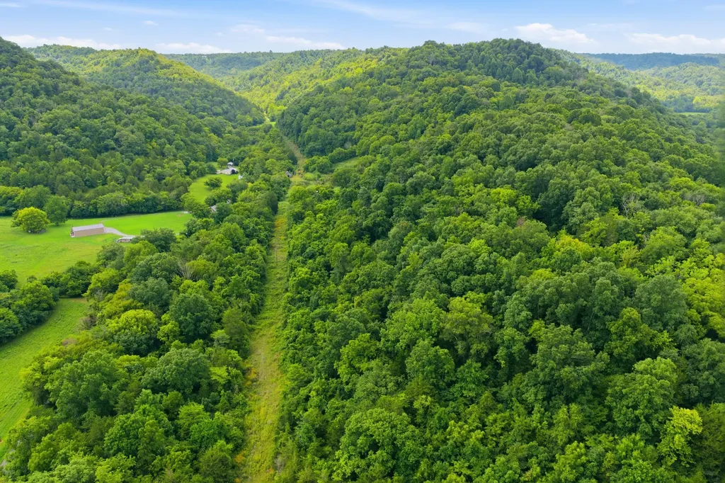 5023 Burt Burgen Road Bradyville TN 37026