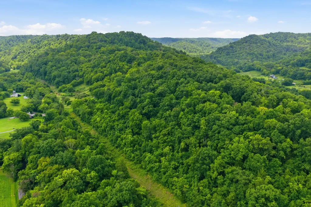 5023 Burt Burgen Road Bradyville TN 37026
