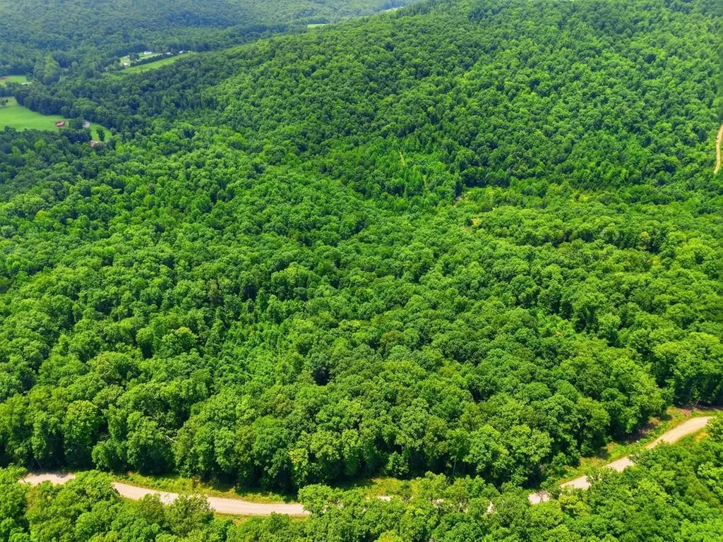 0 Tomahawk Road Jamestown TN 38556