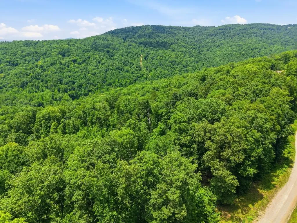 0 Tomahawk Road Jamestown TN 38556