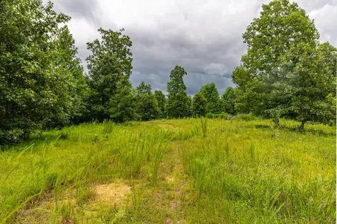 210 Loveman Lane Hampshire TN 38461