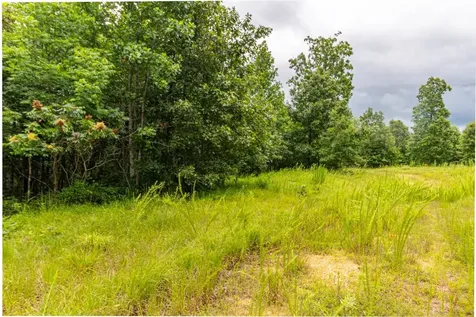 210 Loveman Lane Hampshire TN 38461