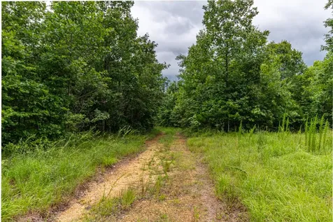 210 Loveman Lane Hampshire TN 38461