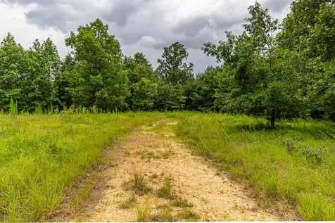 210 Loveman Lane Hampshire TN 38461