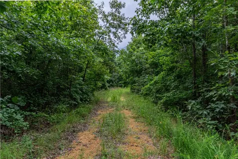 210 Loveman Lane Hampshire TN 38461