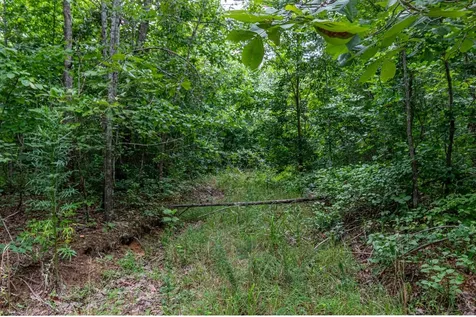 210 Loveman Lane Hampshire TN 38461