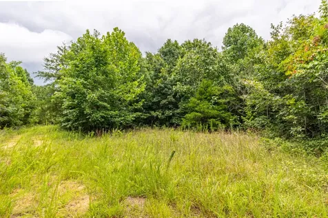 210 Loveman Lane Hampshire TN 38461