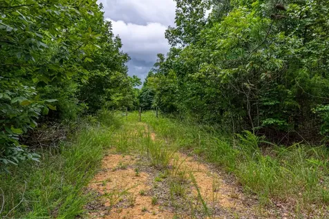 210 Loveman Lane Hampshire TN 38461