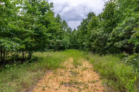 210 Loveman Lane Hampshire TN 38461