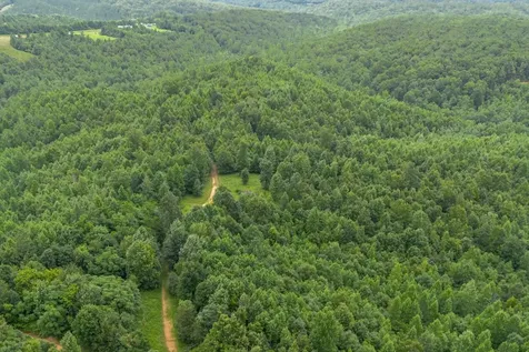 210 Loveman Lane Hampshire TN 38461