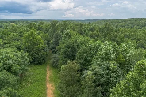 210 Loveman Lane Hampshire TN 38461