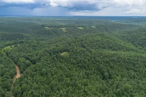 210 Loveman Lane Hampshire TN 38461