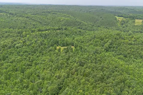 210 Loveman Lane Hampshire TN 38461
