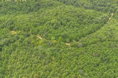 210 Loveman Lane Hampshire TN 38461