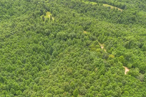 210 Loveman Lane Hampshire TN 38461