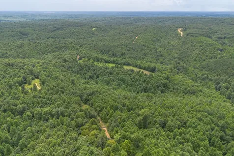 210 Loveman Lane Hampshire TN 38461