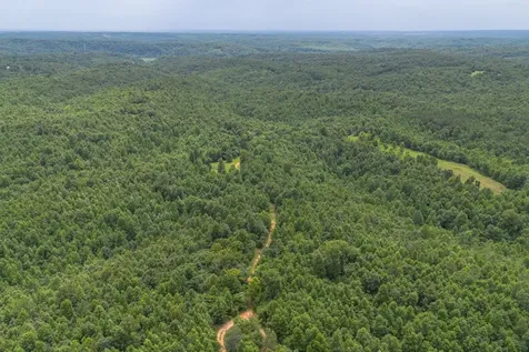 210 Loveman Lane Hampshire TN 38461