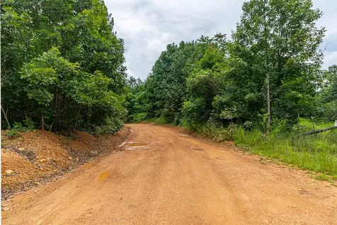 210 Loveman Lane Hampshire TN 38461