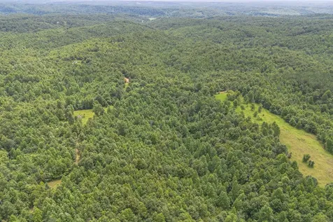 210 Loveman Lane Hampshire TN 38461