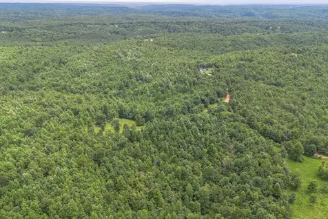 210 Loveman Lane Hampshire TN 38461