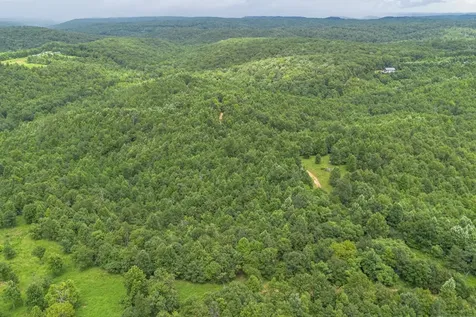 210 Loveman Lane Hampshire TN 38461