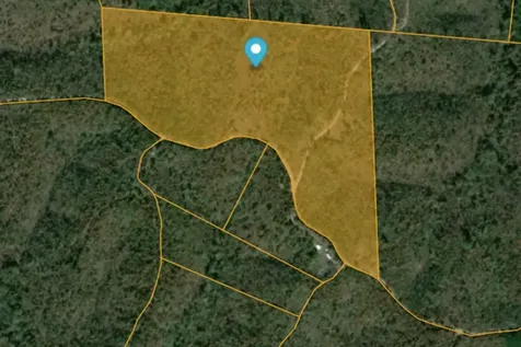 210 Loveman Lane Hampshire TN 38461