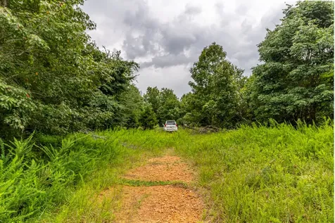 210 Loveman Lane Hampshire TN 38461