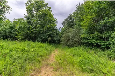 210 Loveman Lane Hampshire TN 38461