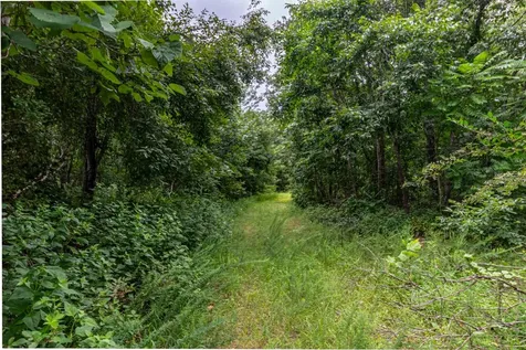 210 Loveman Lane Hampshire TN 38461