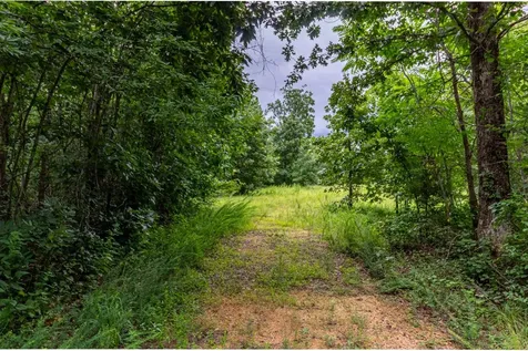 210 Loveman Lane Hampshire TN 38461