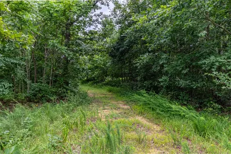 210 Loveman Lane Hampshire TN 38461