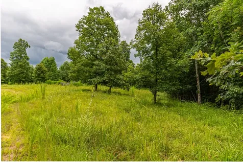 210 Loveman Lane Hampshire TN 38461