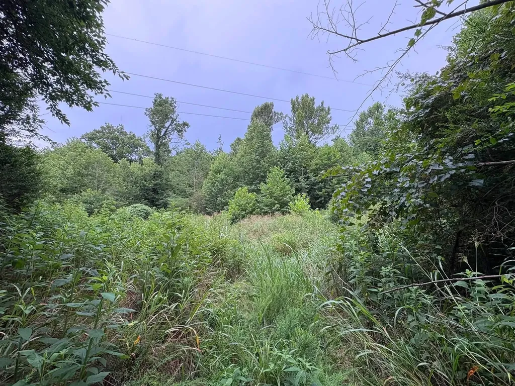 0 Knox Lane Clarksville TN 37040
