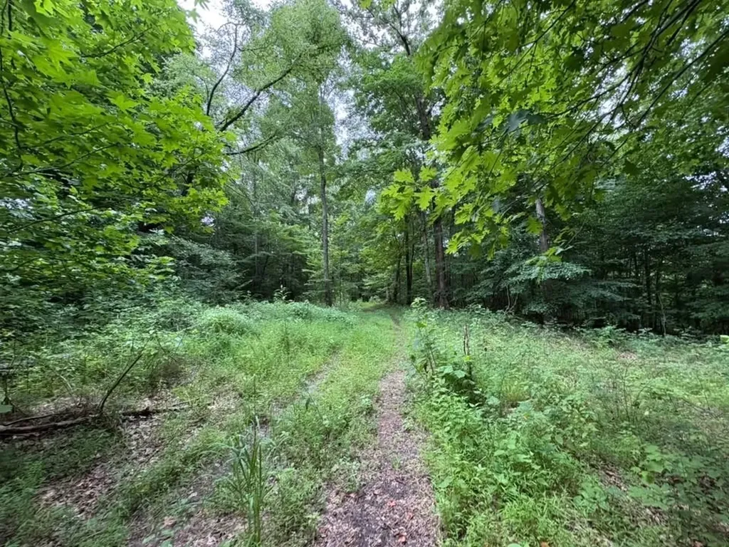 0 Knox Lane Clarksville TN 37040
