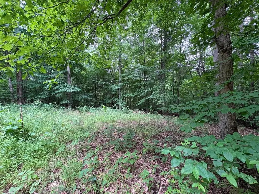 0 Knox Lane Clarksville TN 37040