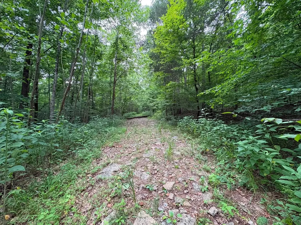 0 Knox Lane Clarksville TN 37040