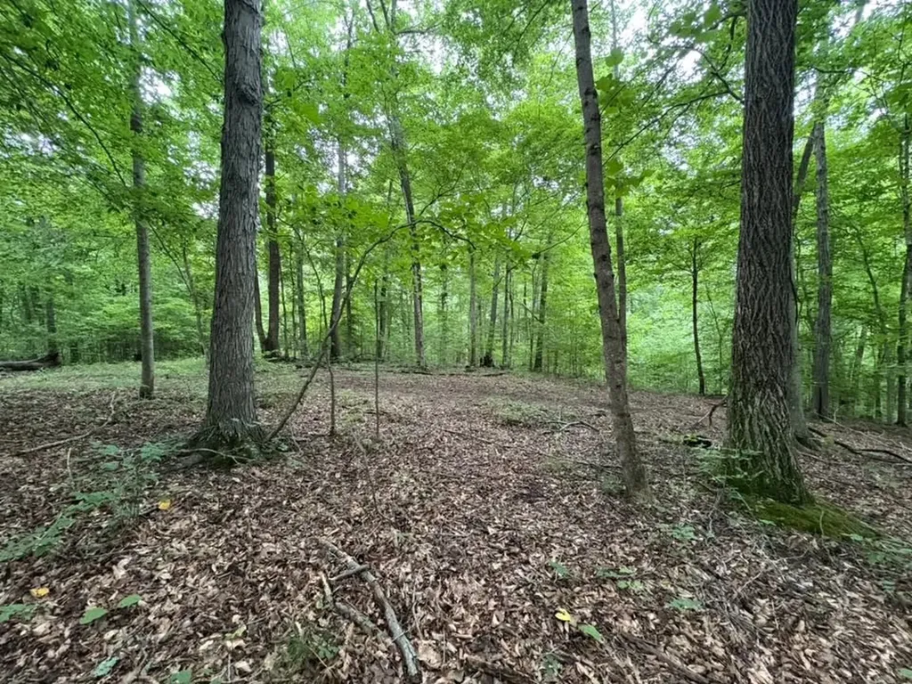 0 Knox Lane Clarksville TN 37040