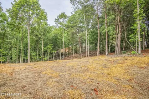 310 Valley Drive Loudon TN 37774