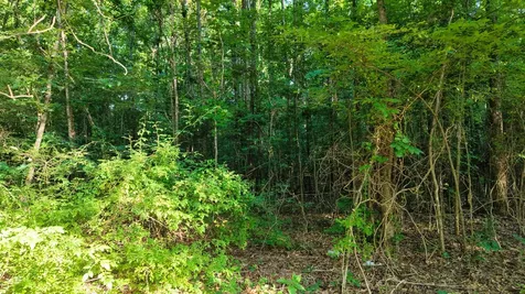 1 Harrell Drive Arlington TN 38002